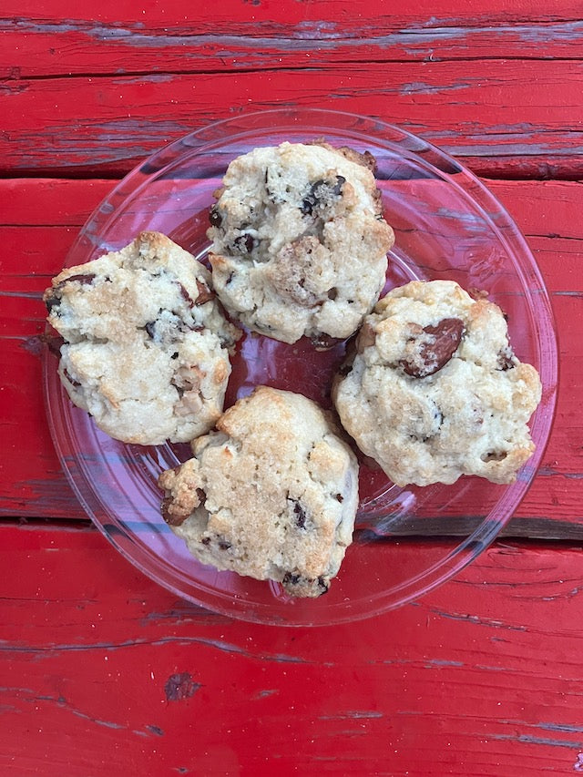 Mt. Rosemary Trail Mix Scones